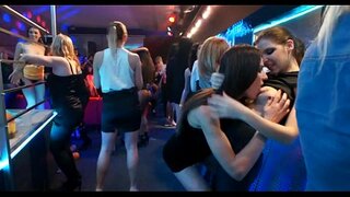 Strring اپ honeys اور مکھیچوس جنگلی کی ضرورت ہے